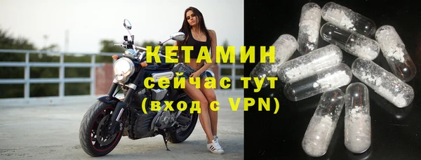 дмт Инта